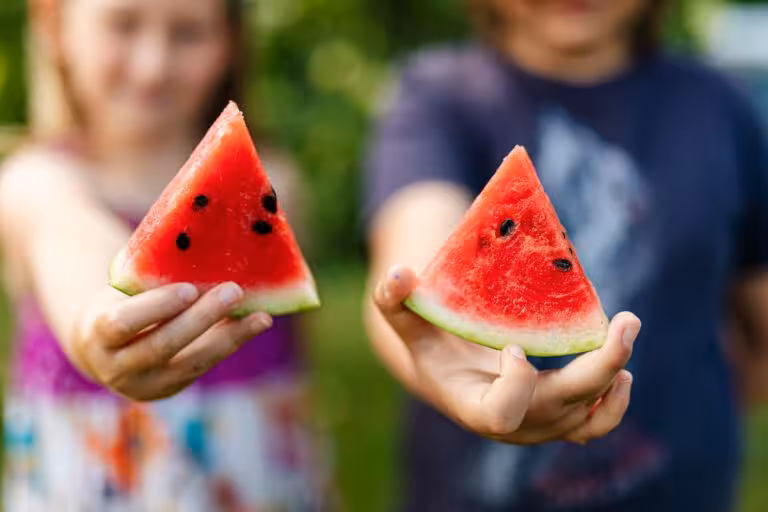 Food Summer International Montessori School