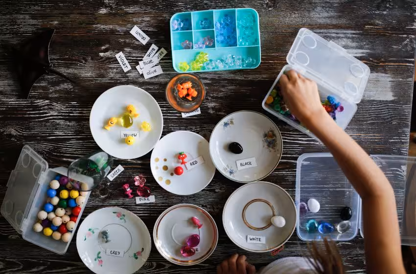 Sorting and Classifying Fun