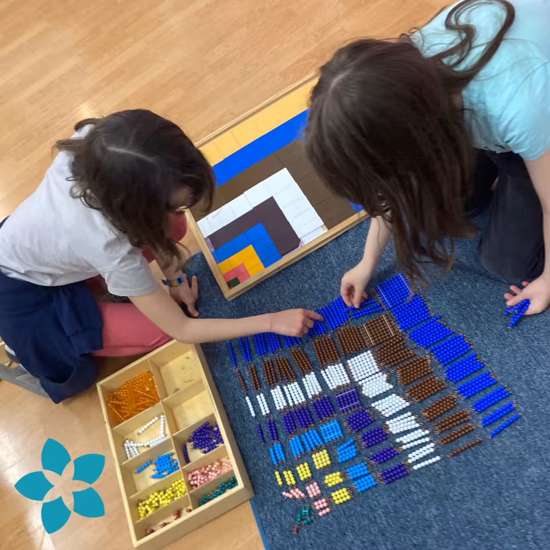 Cómo es un día en el Taller 1, IMS Sotogrande