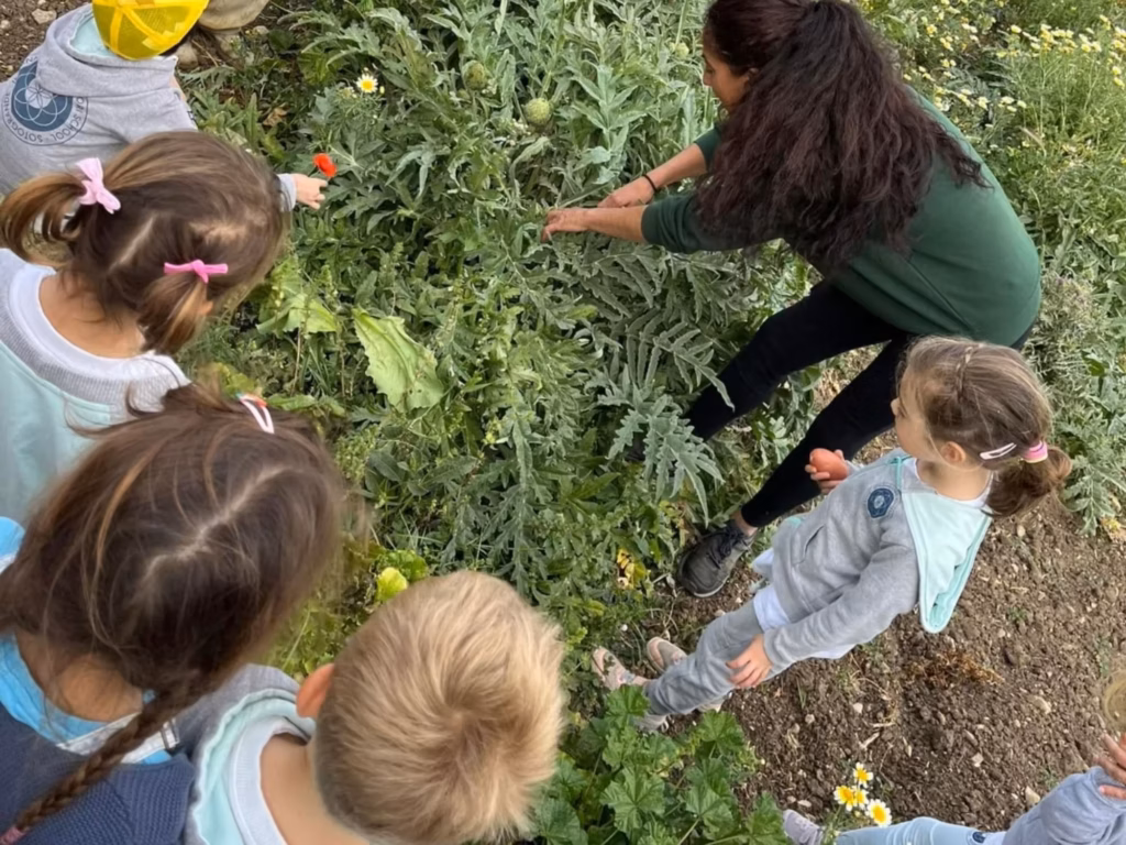 Learning Walk en la naturaleza — IMS