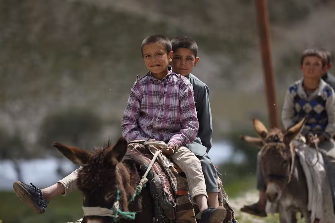 Reitstunden für Kinder - Kinderreitstunden in San Roque: Montessori-Vorteile und lokale Alternativen