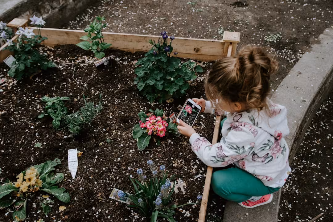 montessori classroom