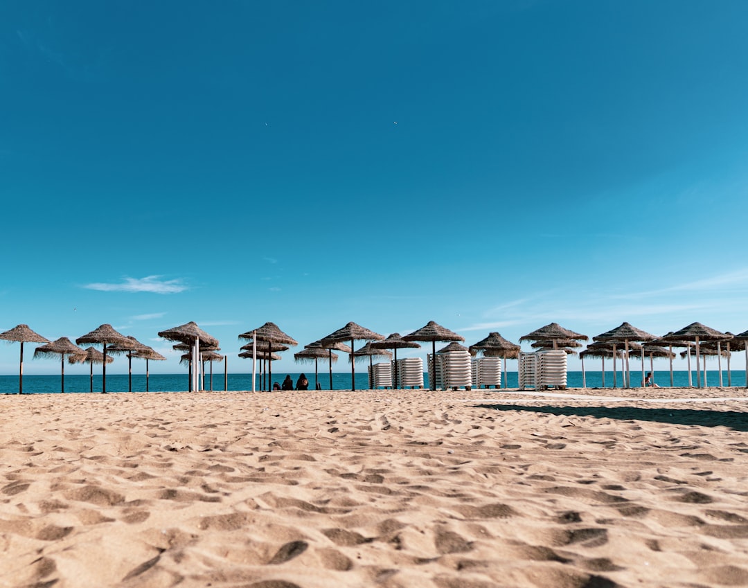 Children’s swimming classes in Fuengirola: Montessori guide for aquatic development