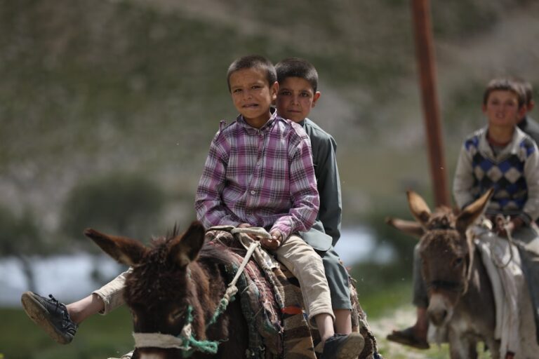 Kinderreitstunden in San Roque: Montessori-Vorteile und lokale Alternativen
