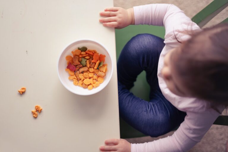 Mi hijo no quiere comer nada: guía Montessori para familias (Consejos de Guías Montessori)