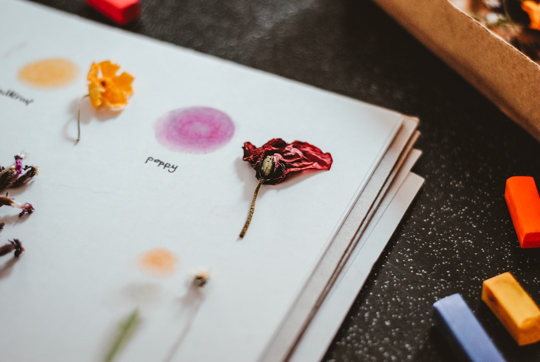 terapeuta del habla infantil - Materiales sensoriales Montessori que estimulan la comunicación