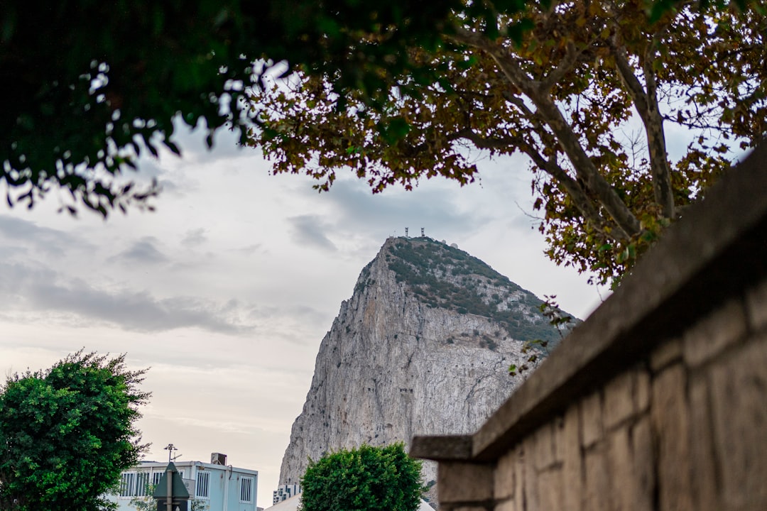 escolarizar hijo en colegio español desde Gibraltar - Ambiente Montessori en IMS Sotogrande, a pocos minutos de Gibraltar