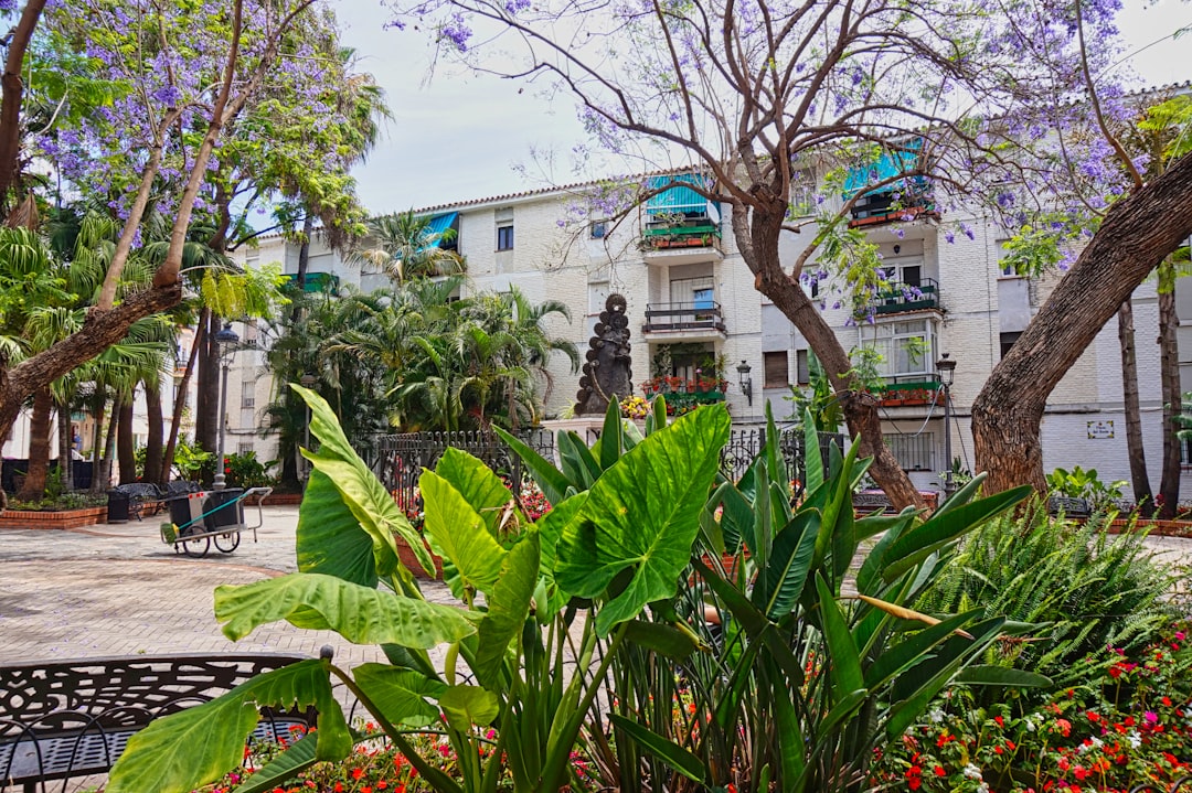 mejor colegio internacional zona estepona ranking - Vista aérea de la Costa del Sol, zona de influencia de colegios internacionales