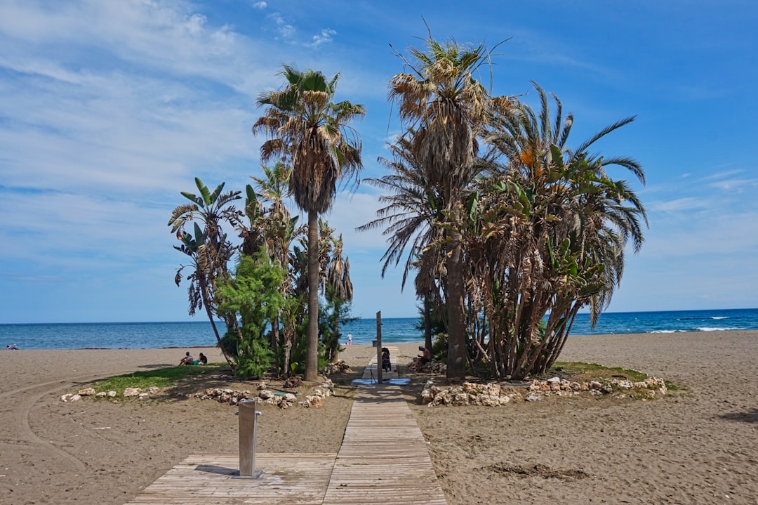 mejores colegios en Estepona - kindergarten activity