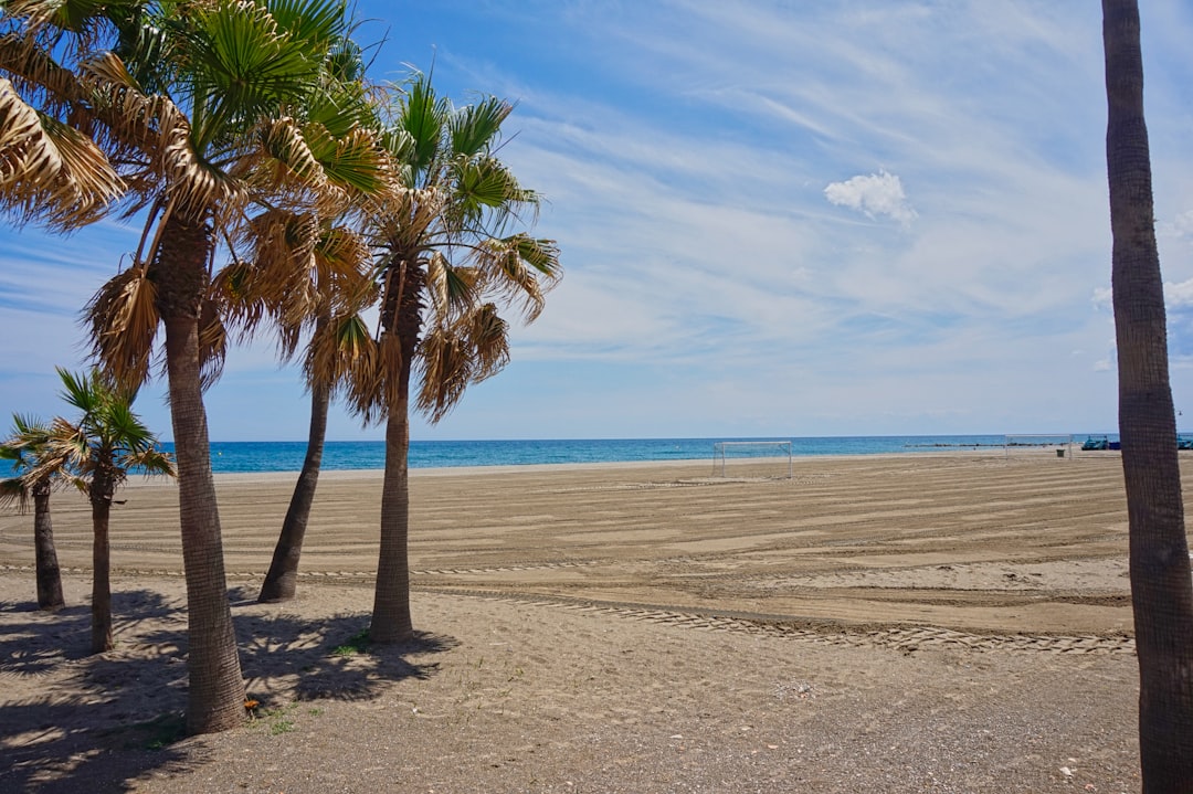 colegios de calidad en Estepona - mejores colegios en Estepona