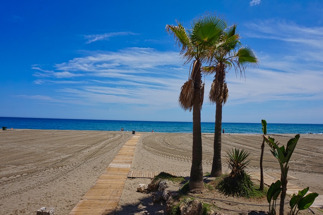 centros educativos recomendados en Estepona - child building blocks