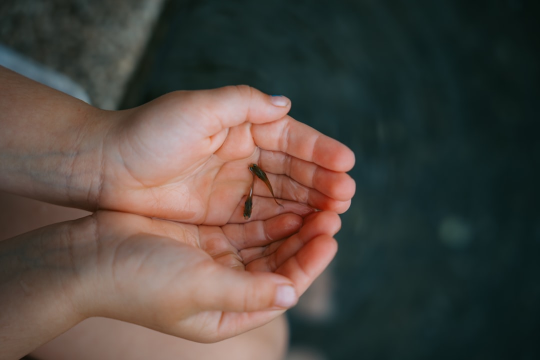 children hands learning