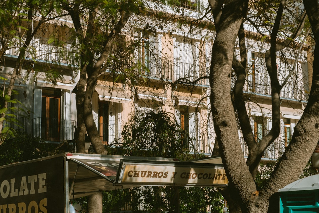 Colegios bilingües en Algeciras: Montessori a 25 minutos