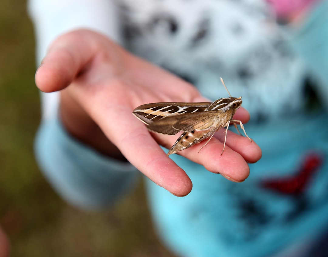 children hands learning