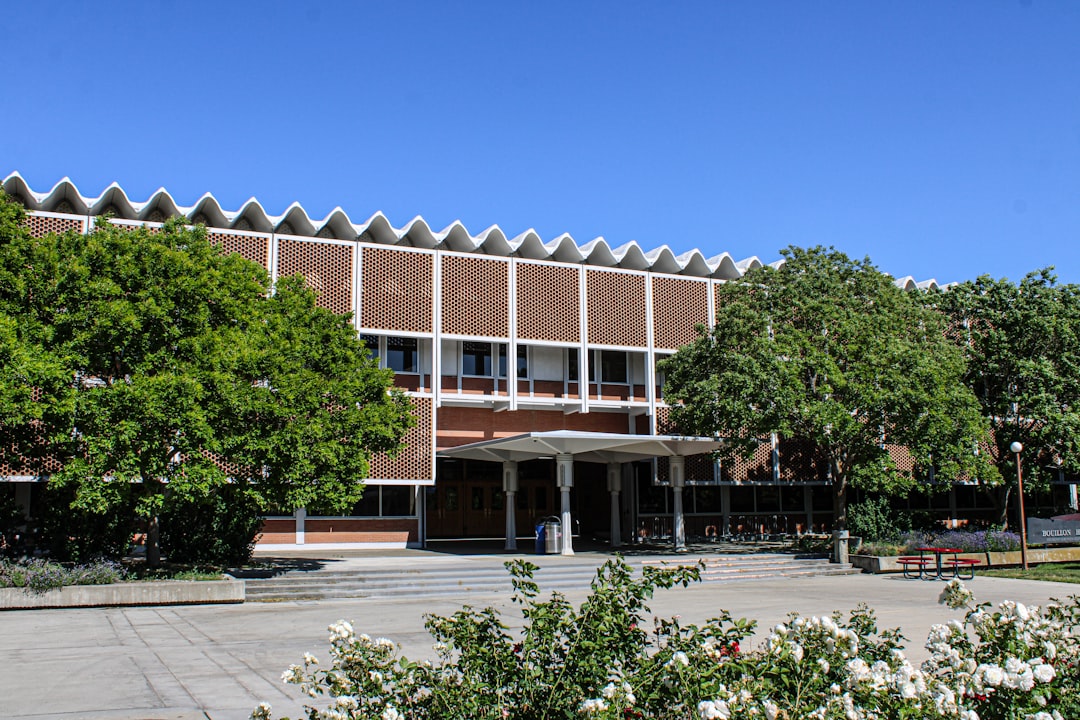 Colegios bilingües en Sabinillas: Montessori en Sotogrande [Guía]