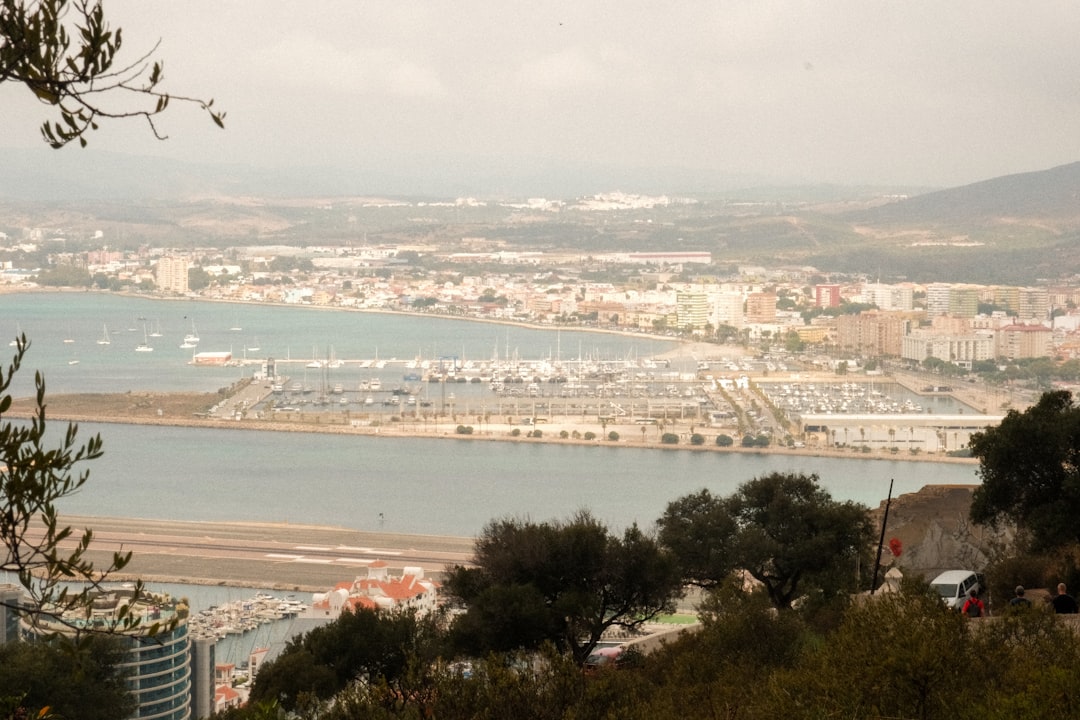 Colegios internacionales en el Campo de Gibraltar [Guía]
