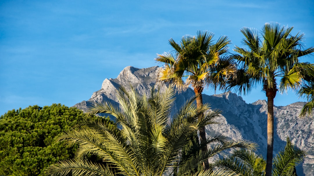 Colegios privados en Sierra Blanca Marbella: opción Montessori