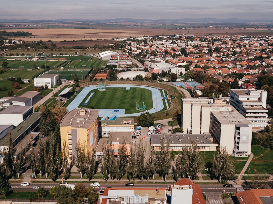 Cuánto cuesta un colegio internacional en Sotogrande al mes[Guía]