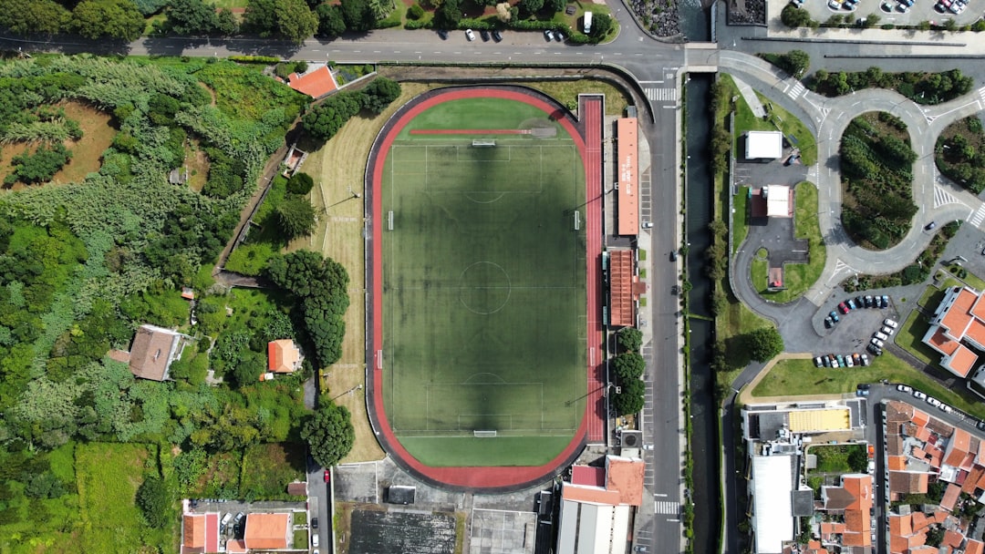 colegio internacional Sotogrande