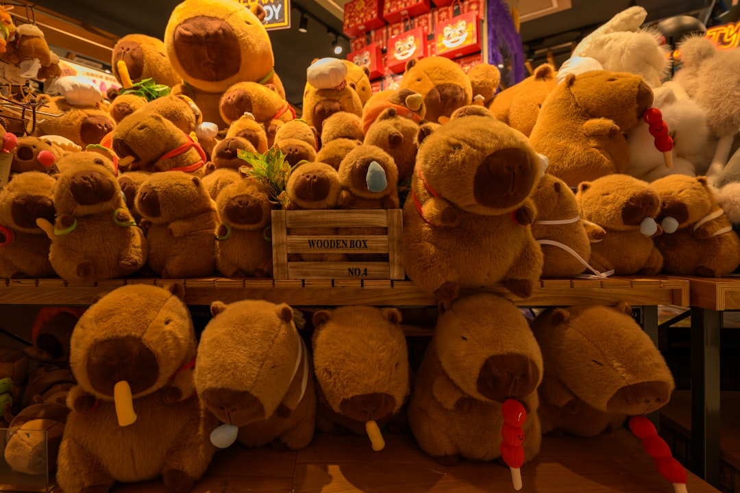 wooden toys