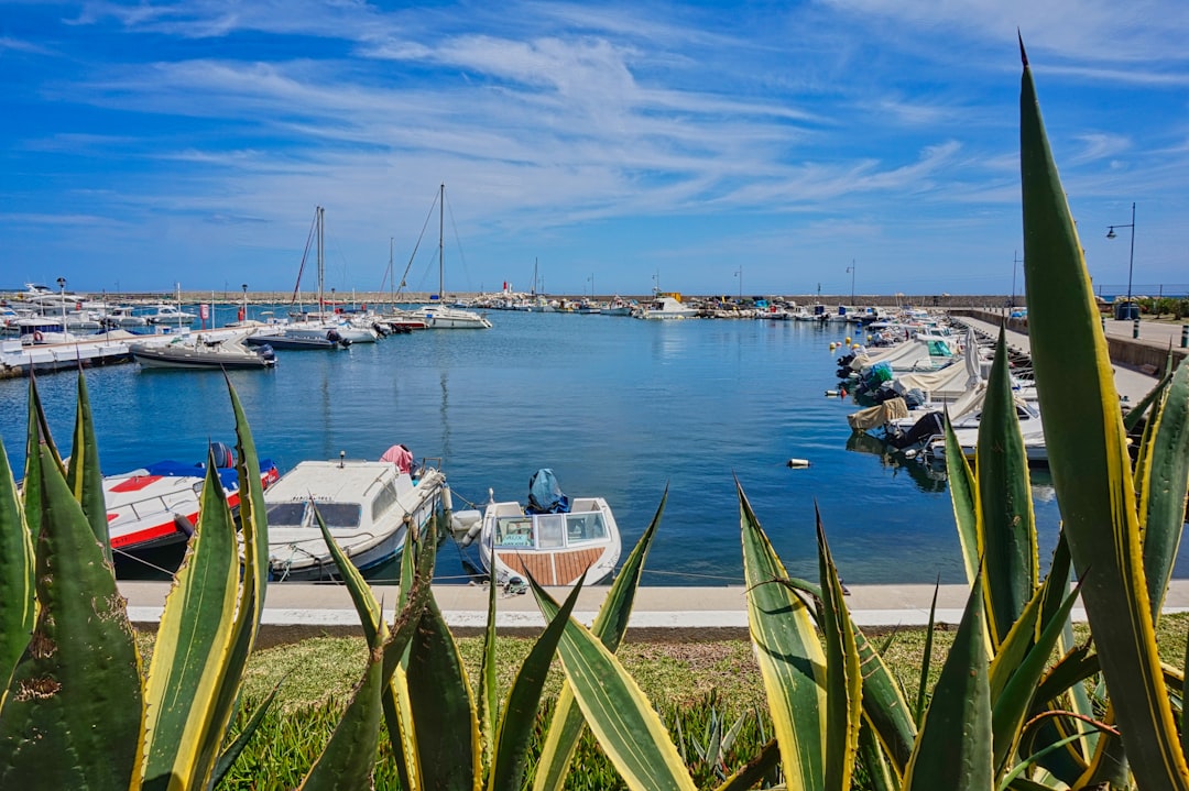 Escuela de vela infantil en Estepona Puerto: Guía 2026