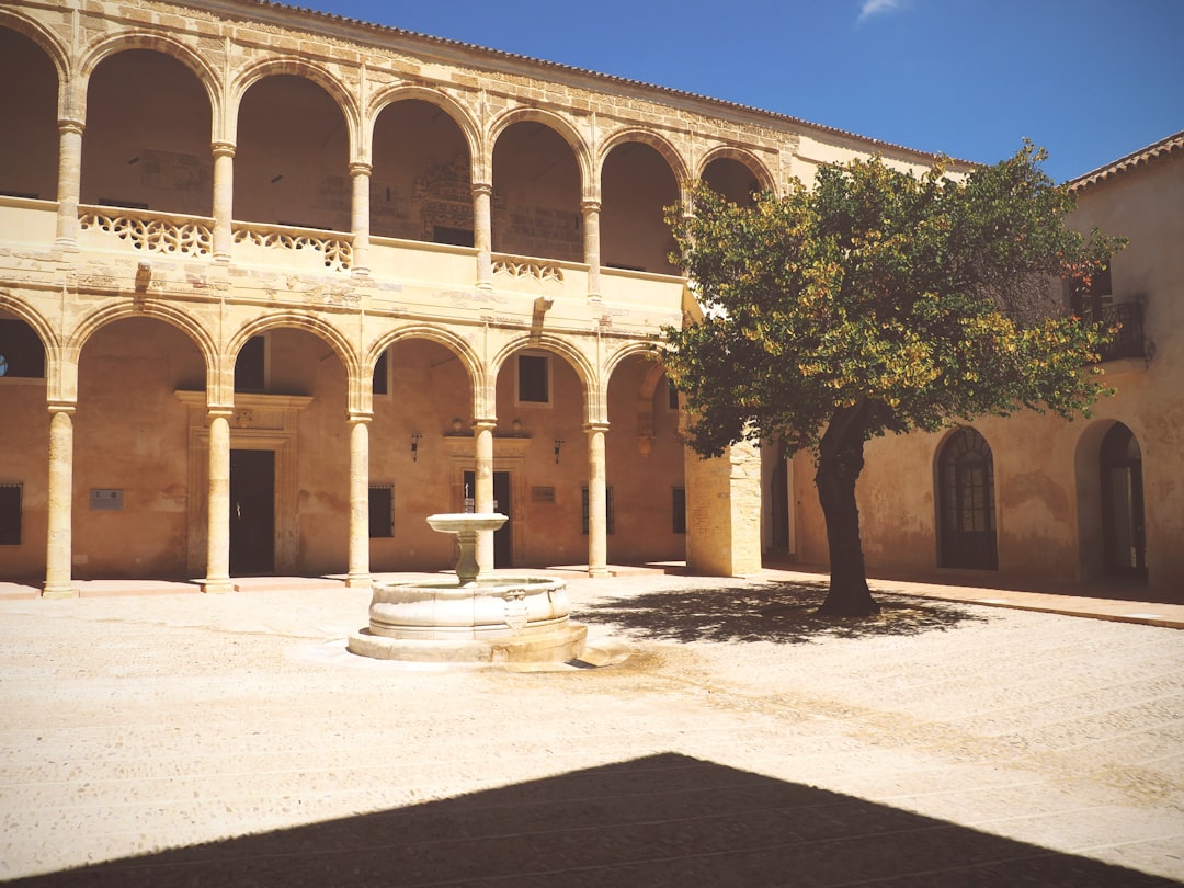 Colegios Montessori en Cádiz: guía del sector para familias