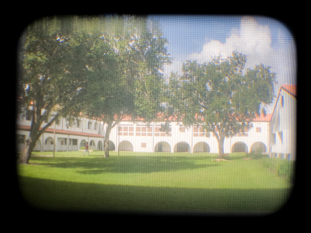 Colegio Montessori Sotogrande <a href=