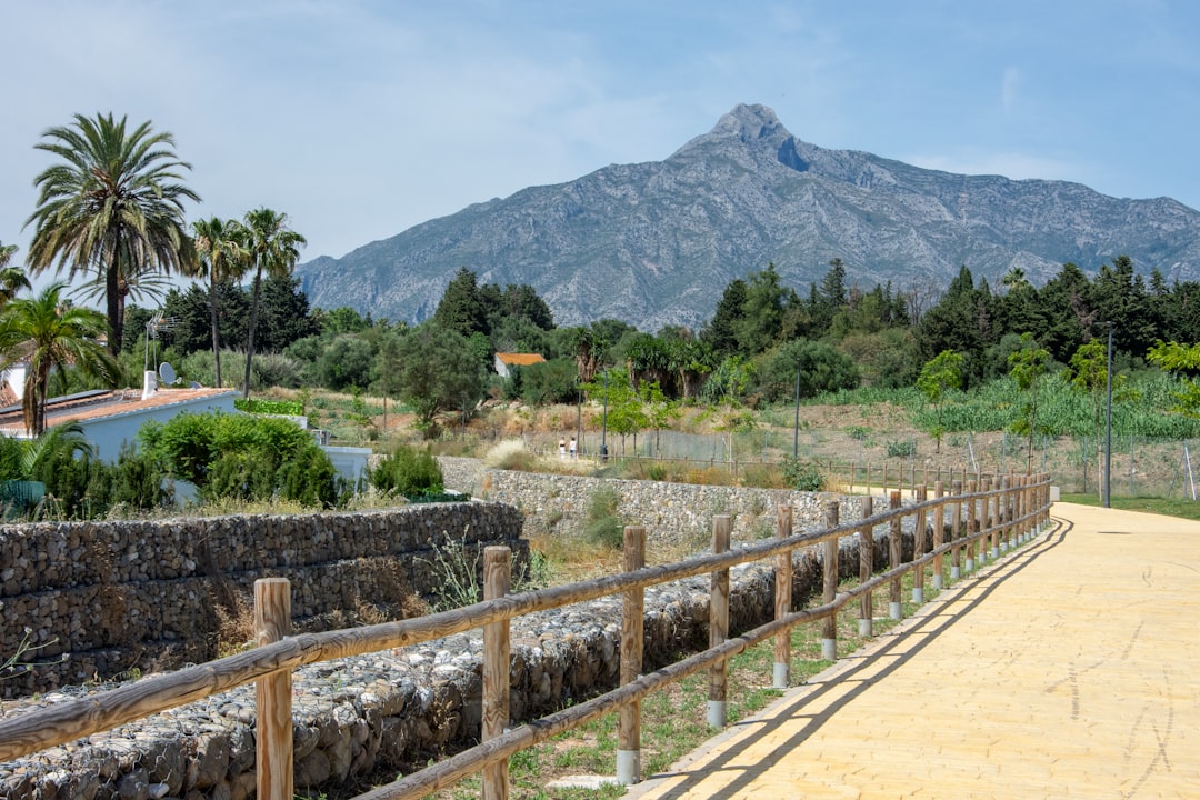 círculos de crianza Montessori - Paseo por la naturaleza, una actividad que une a muchas familias Montessori.