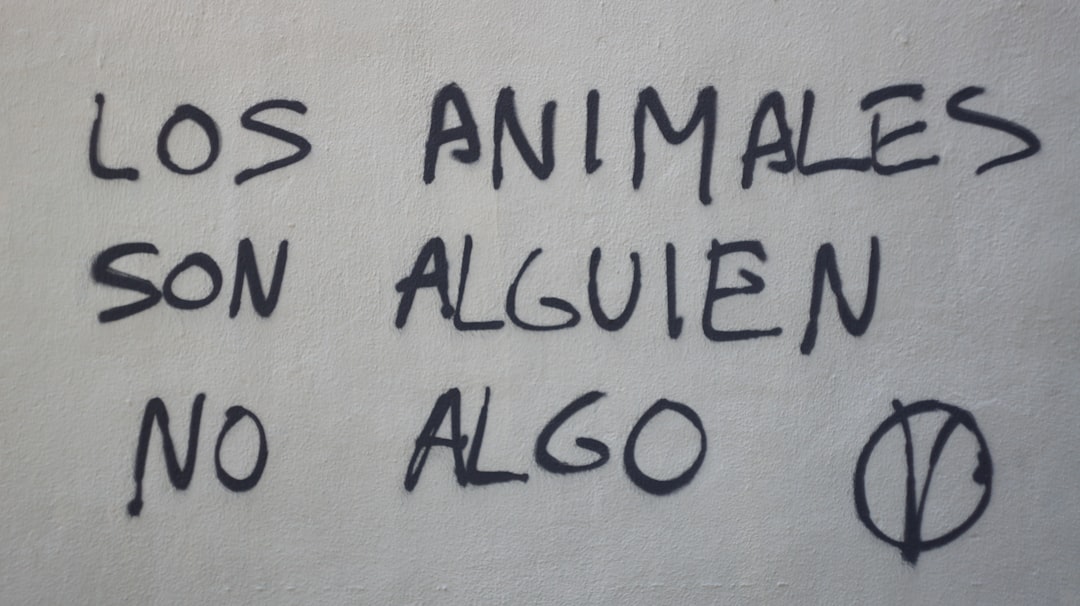 guarderías bilingües en la línea - Los materiales concretos ayudan a los más pequeños a adquirir vocabulario en dos idiomas.