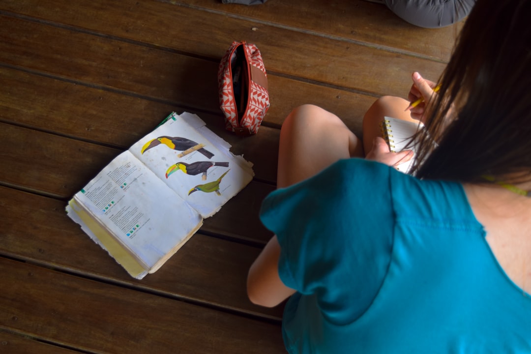 guía de aula Montessori - Materiales Montessori ordenados en el estante, listos para ser elegidos