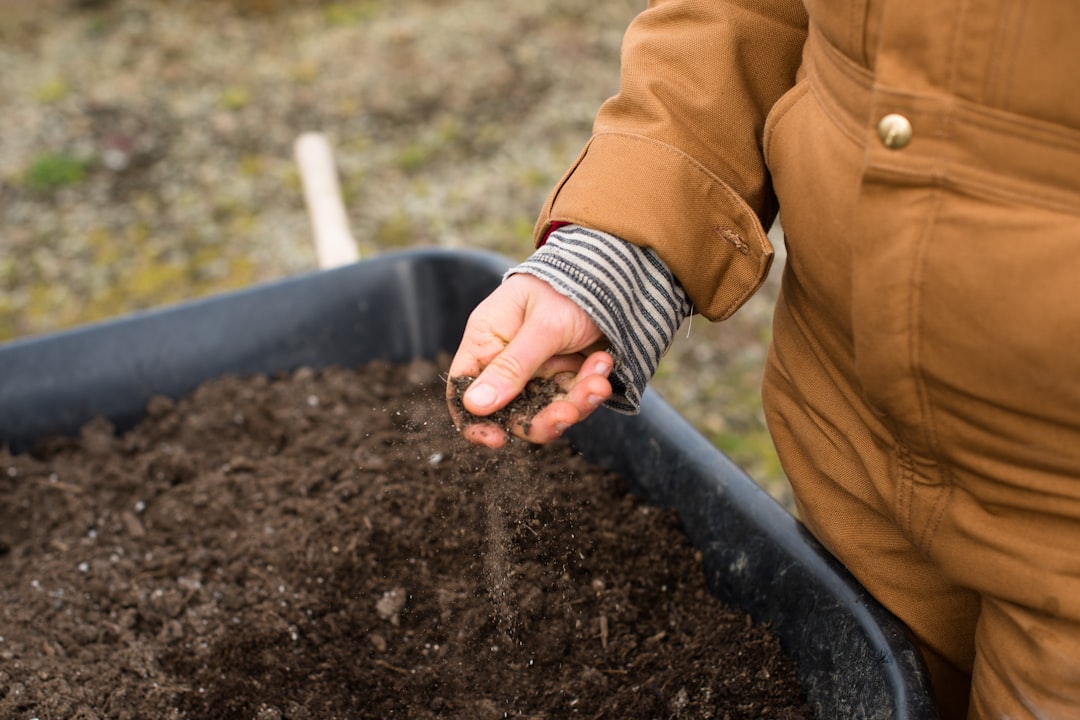educación Montessori en la naturaleza - Proyecto de naturaleza en casa: regar una planta como rutina Montessori diaria