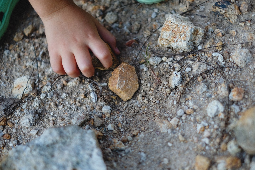 tablero sensorial - Manos de un niño tocando materiales naturales como corcho y piña