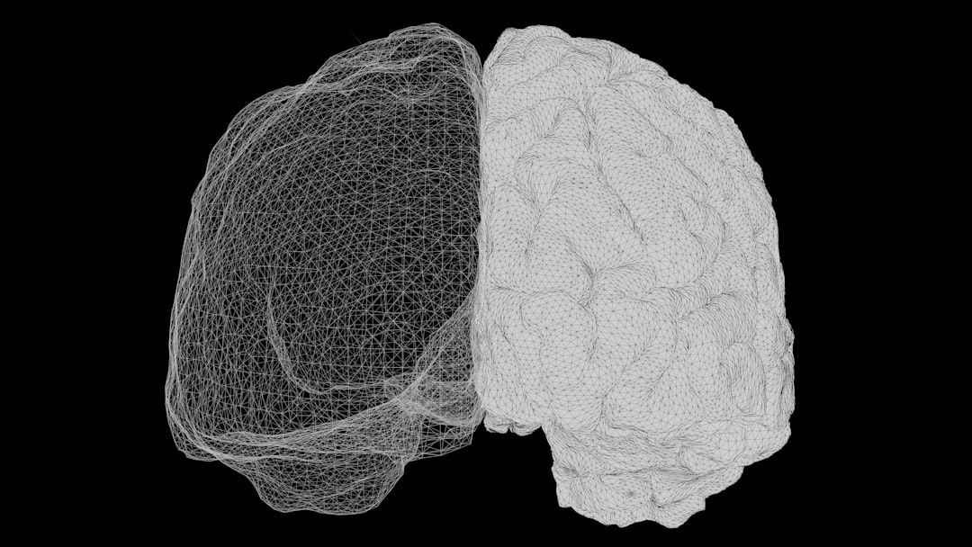 estimulación sensorial infantil - Conexiones neuronales en el cerebro del bebé durante los primeros años