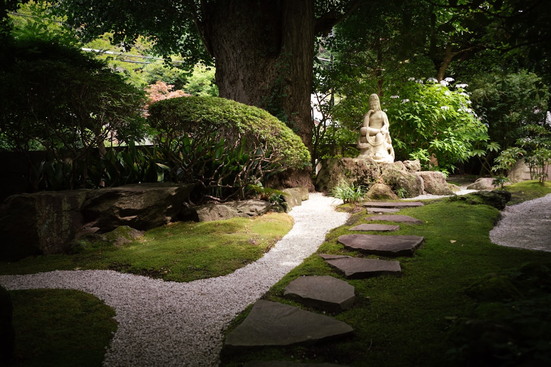 mindfulness infantil - Un paseo lento por el jardín: mindfulness natural en la infancia.