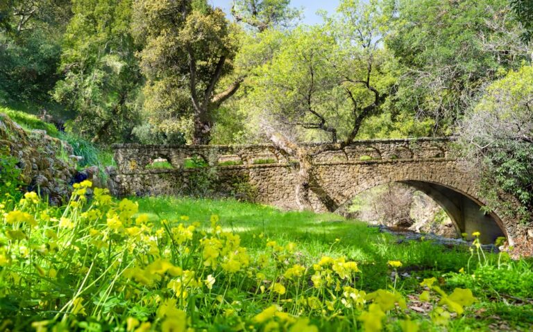 Montessori Kita Estepona - Montessori Kita mit Garten & Gartenarbeit in der Nähe von Estepona – Sotogrande