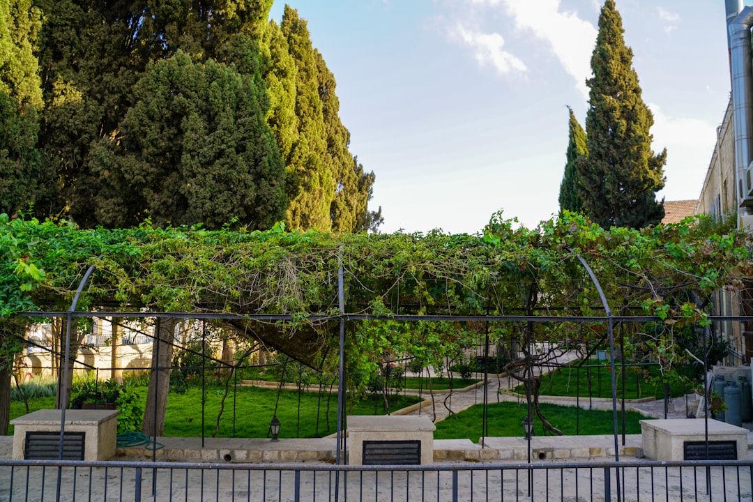 escuelas infantiles con huerto escolar - Jardín mediterráneo con zonas de juego y naturaleza para niños