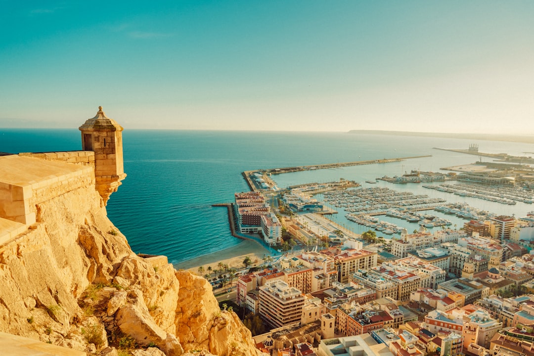 centros infantiles en Nueva Andalucía - Vista aérea de la Costa del Sol, zona de familias internacionales