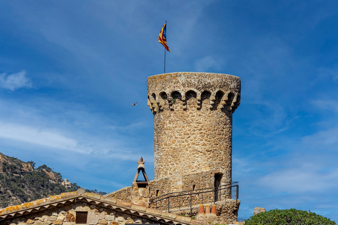 Montessori Krippe Sotogrande: Internationale Kinderkrippe für 0-3-Jährige – Ratgeber für Familien aus San Roque