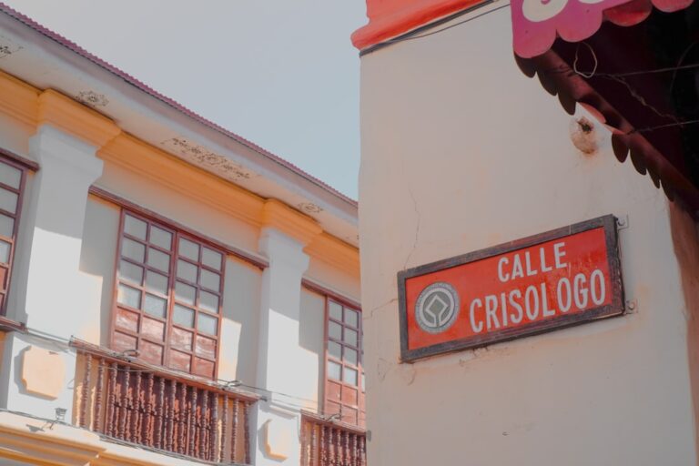 Colegio trilingüe: guía para familias [Método Montessori]