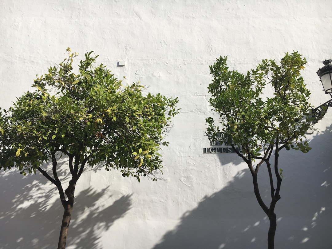 Montessori Playgrounds in Marbella: A Family Guide to Free Play & Nature [Sotogrande]