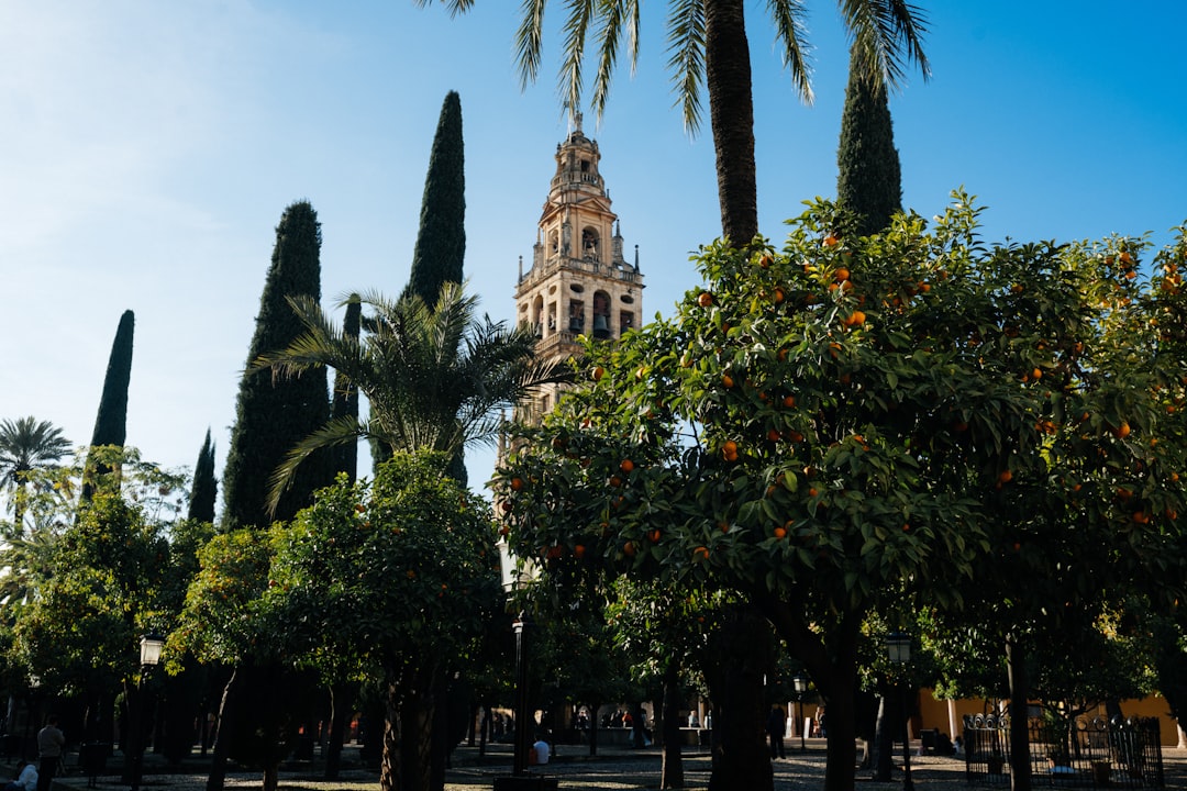 centros de educación infantil en Marbella - Familias disfrutando del entorno seguro y tranquilo de Sotogrande