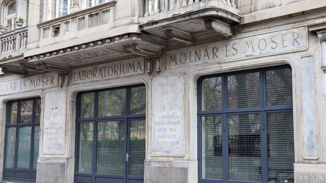 montessori vs laude san pedro - Inmersión lingüística real en el aula