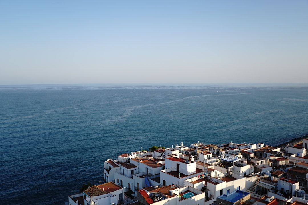 doctor para niños en inglés y español - La zona de Marbella y Nueva Andalucía, hogar de muchas familias expatriadas.