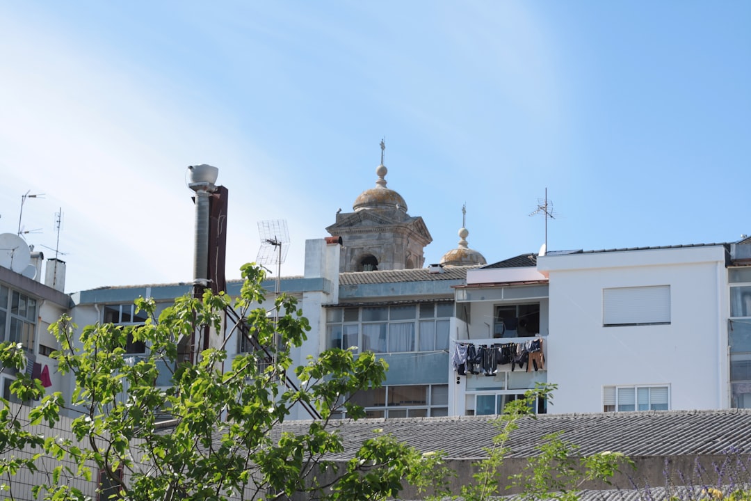 Colegio Montessori en San Roque - Materiales Montessori organizados en estantes bajos