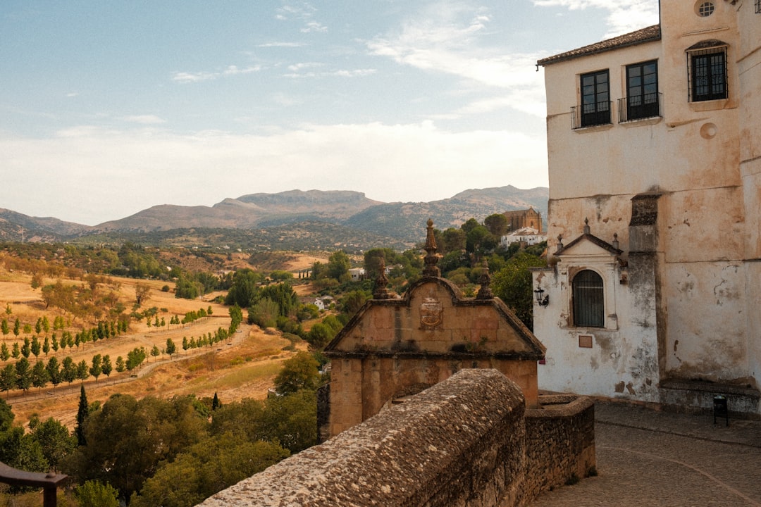 escuela Montessori para familias de Casares - Paisaje del campo andaluz cerca de Casares