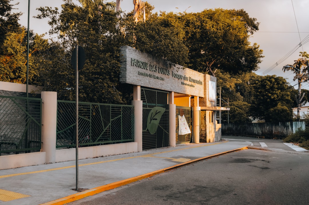 Colegio Montessori en Casares precio - Aula Montessori con materiales bilingües español-inglés