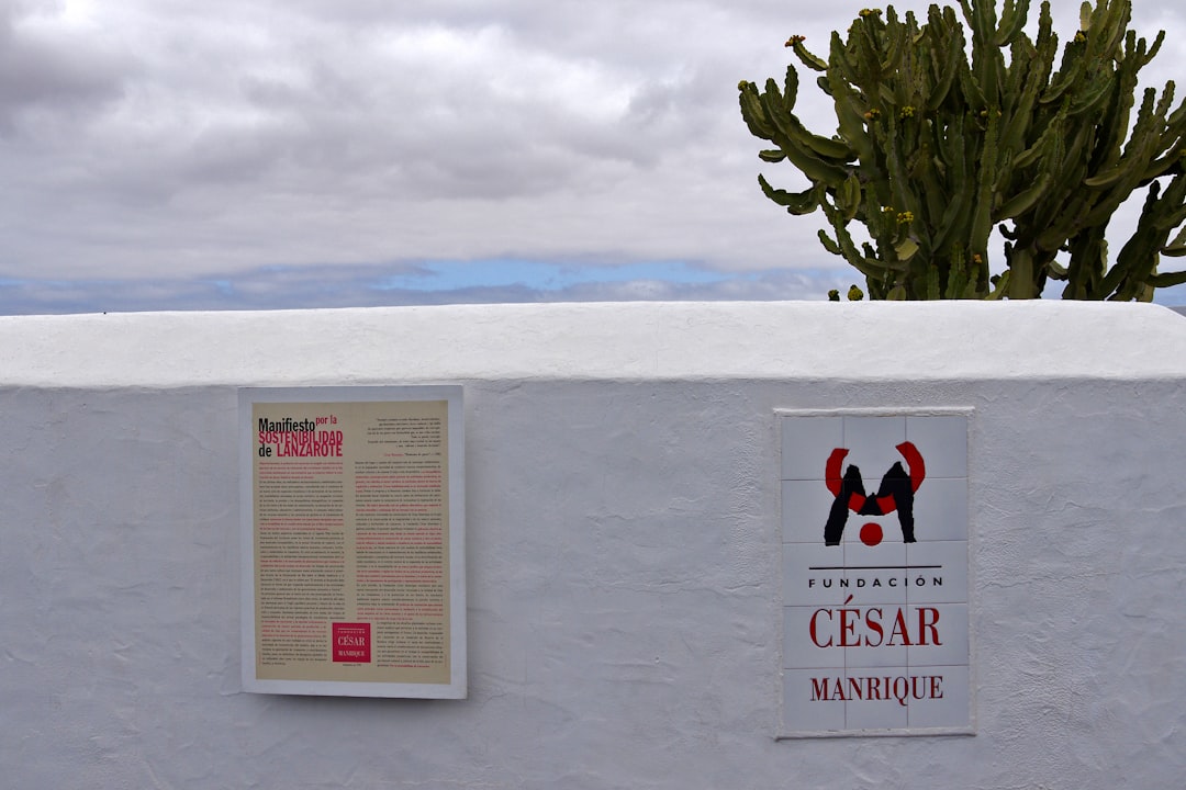 centro Montessori en la Costa del Sol - Niño desarrollando autonomía a través de la pedagogía Montessori