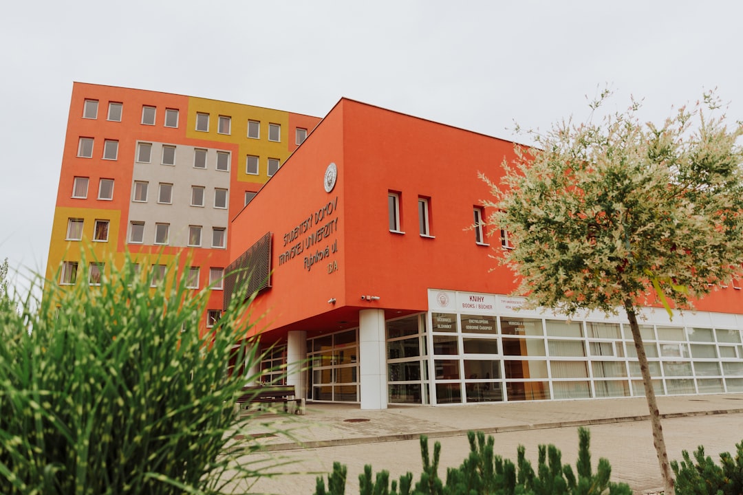 colegio Montessori de referencia - Un niño concentrado en su trabajo, desarrollando su autonomía en el aula