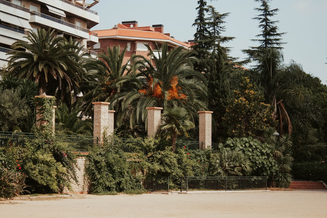 escuela Montessori cerca de Sabinillas - Instalaciones de un colegio internacional en Sotogrande