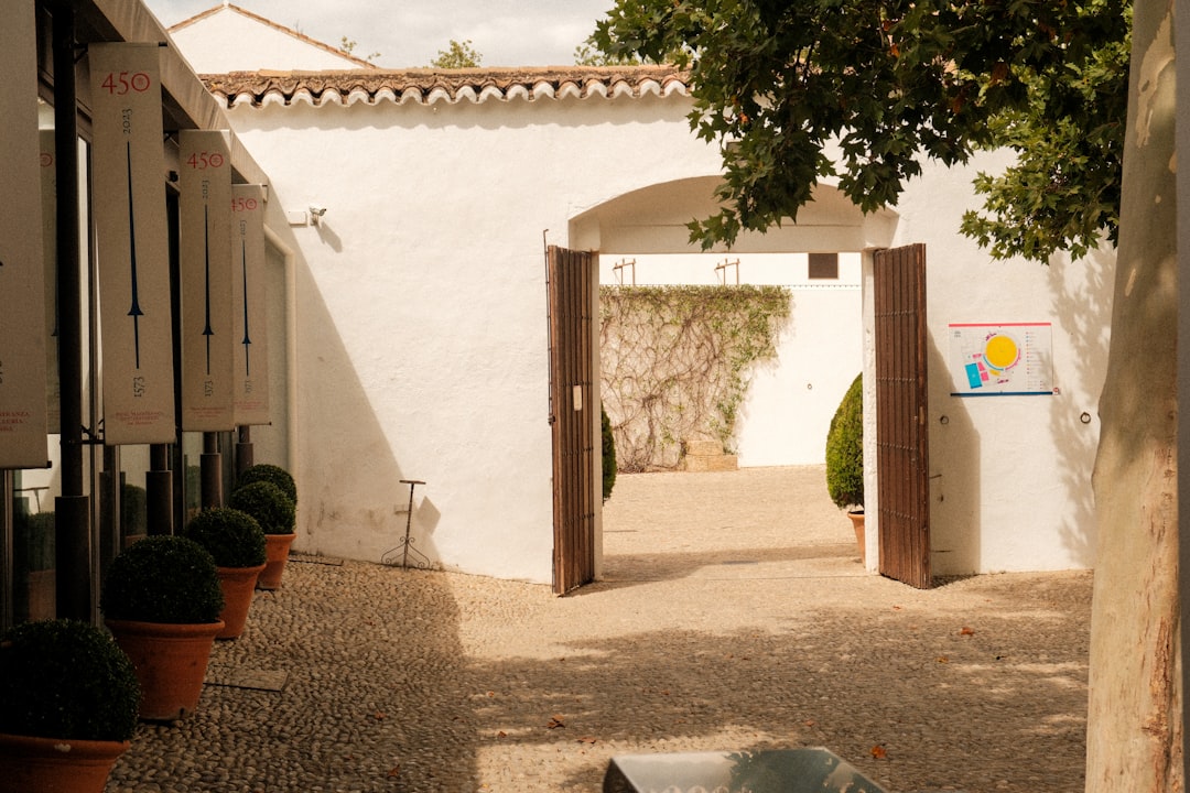 centro Montessori Costa del Sol - Instalaciones de IMS Sotogrande en Sotomarket, sobre Mercadona